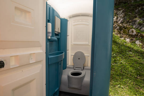 Best Local porta potty services  in Dland, MI